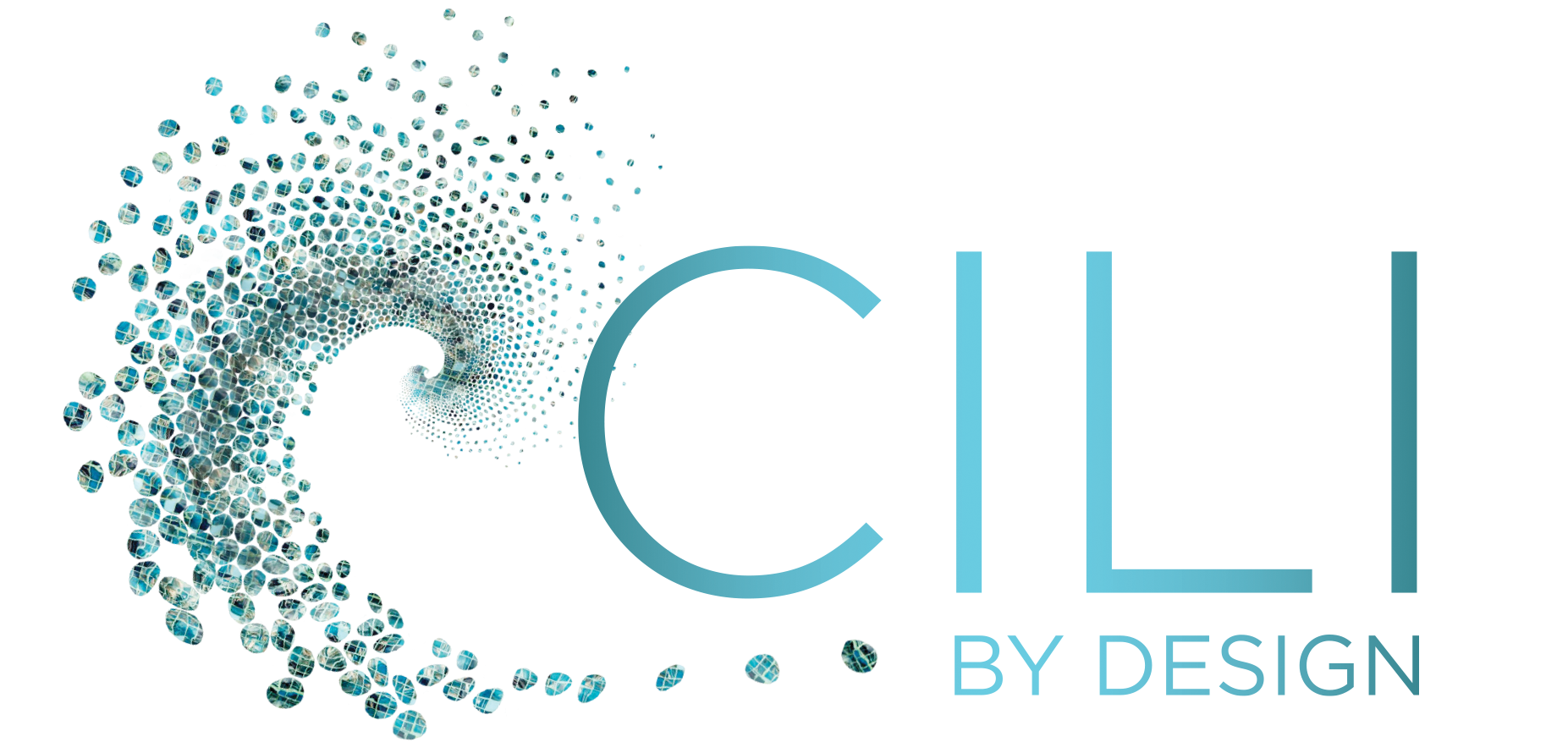cili by design erfahrungen deutsch